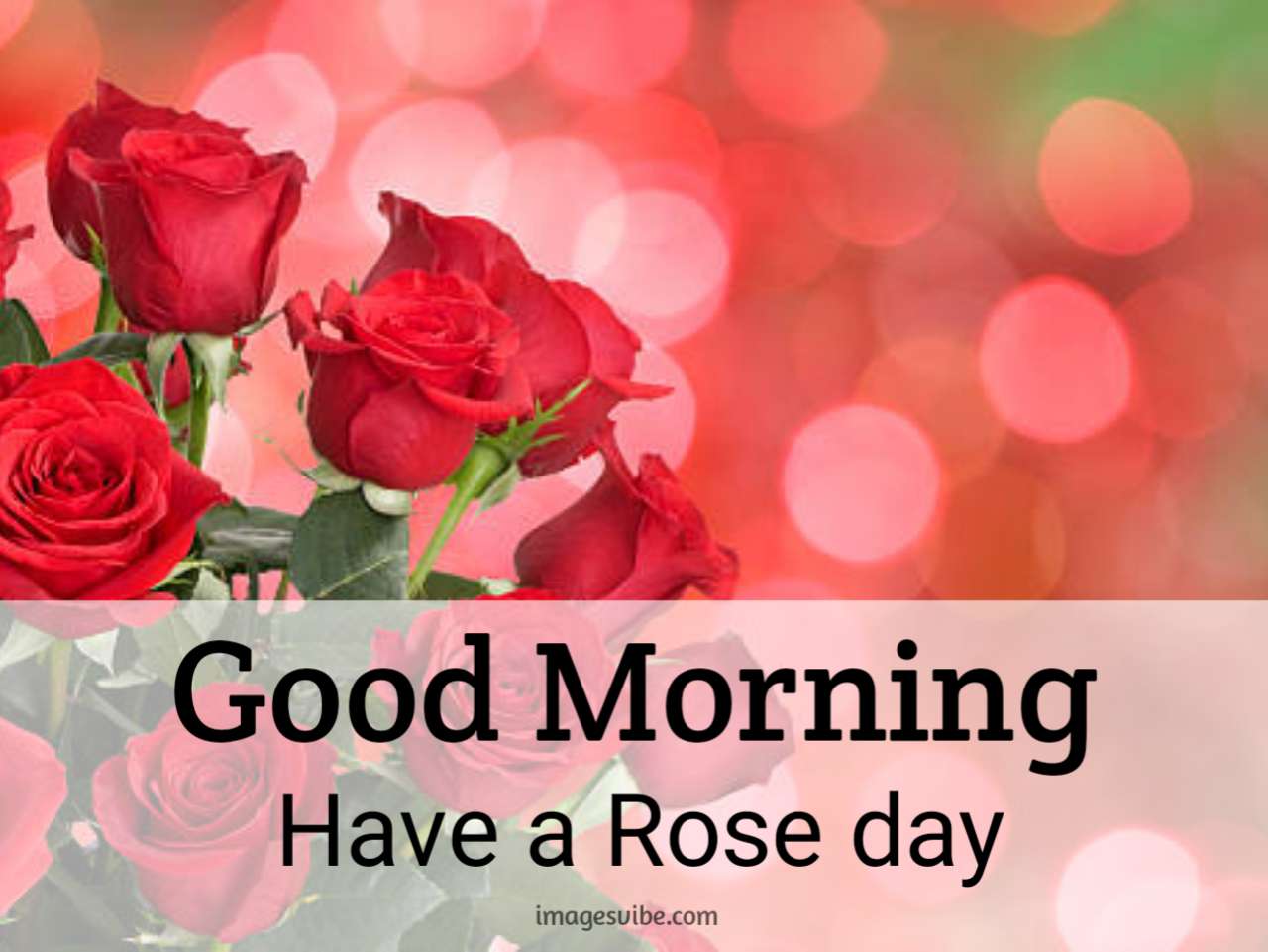 Beautiful Good Morning Roses Images HD Download in 2024 - Images Vibe