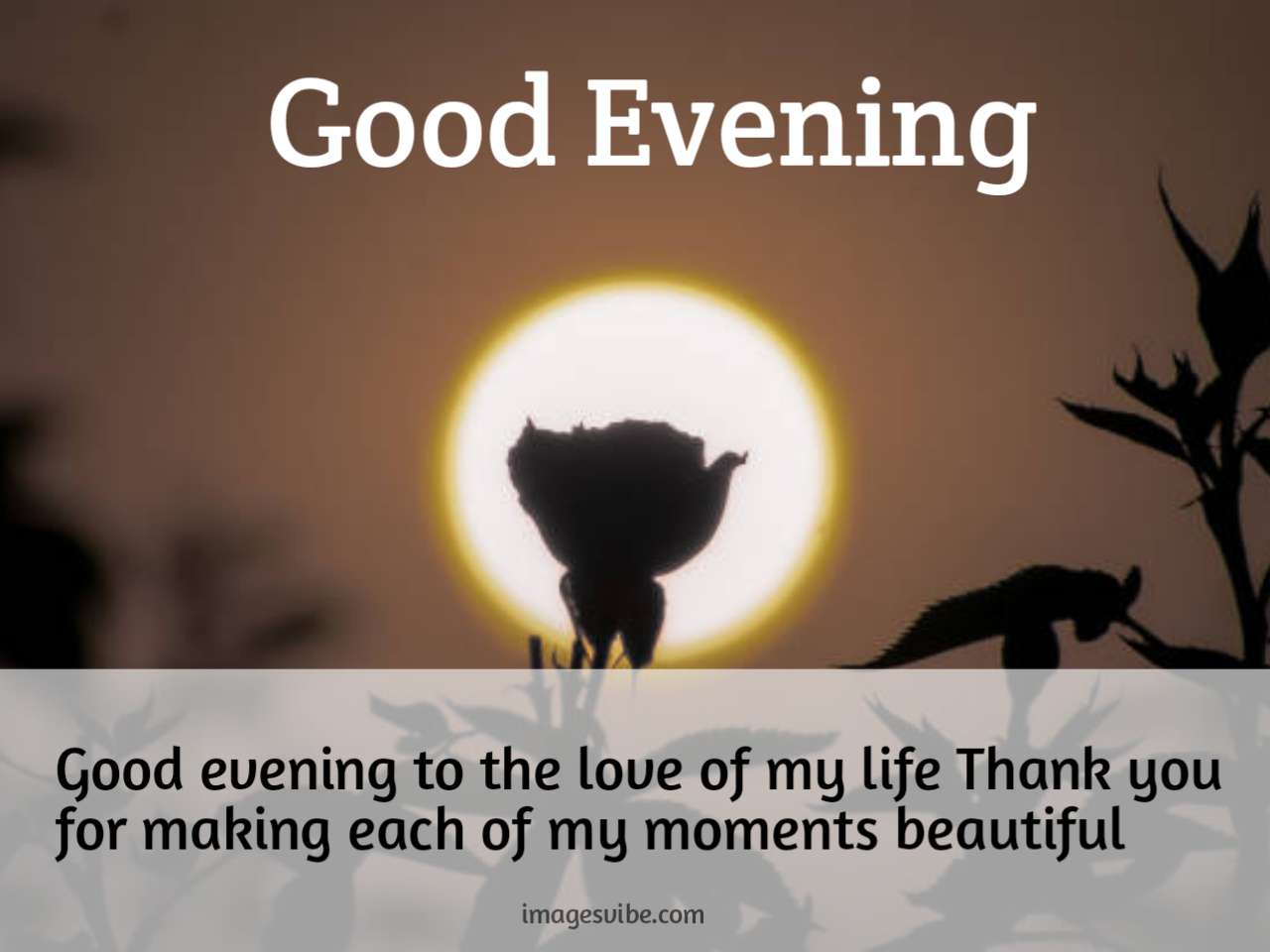 Best Beautiful Good Evening Images & Quotes in 2024 - Images Vibe