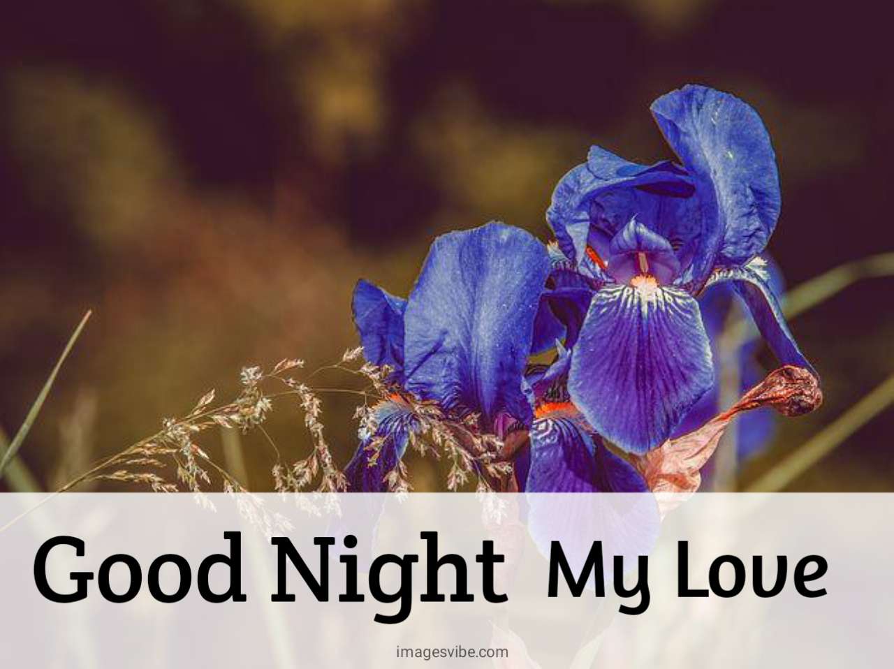 good night beautiful flowers
