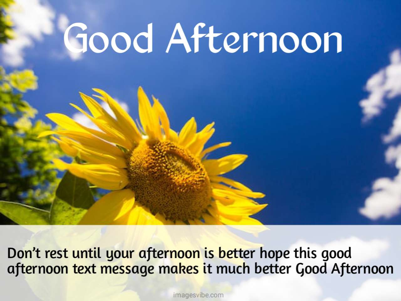 Beautiful Good Afternoon Images With Quotes in 2024 - Images Vibe