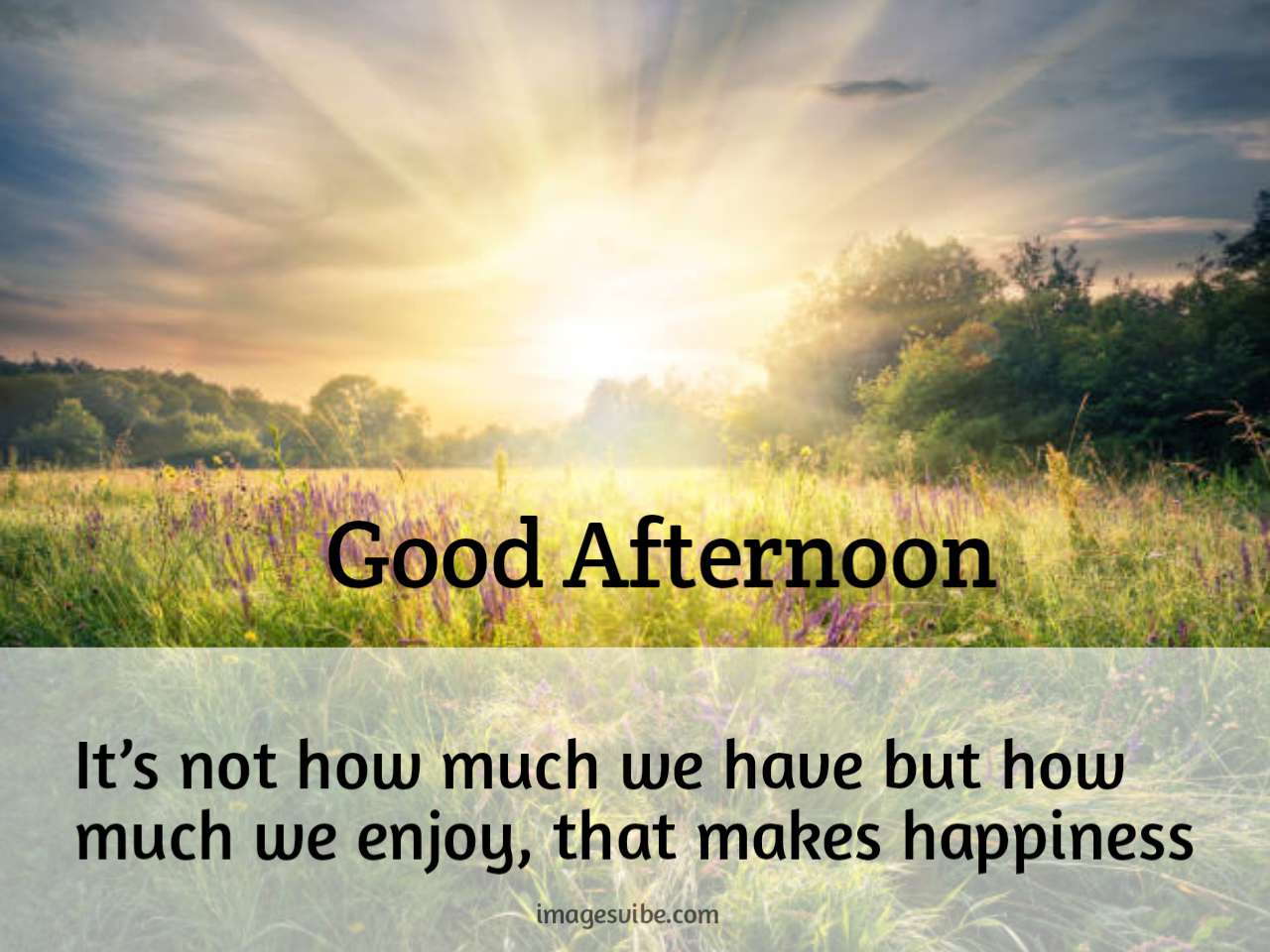 Beautiful Good Afternoon Images & Quotes Messages in 2024 - Images Vibe