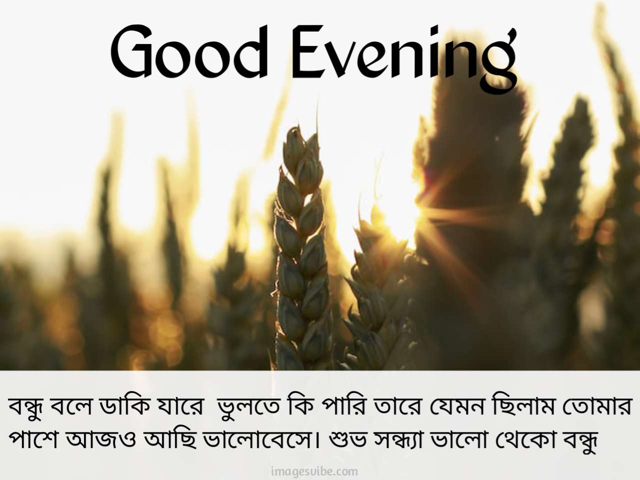Beautiful Good Evening Bengali Images & Quotes in 2023 - Images Vibe