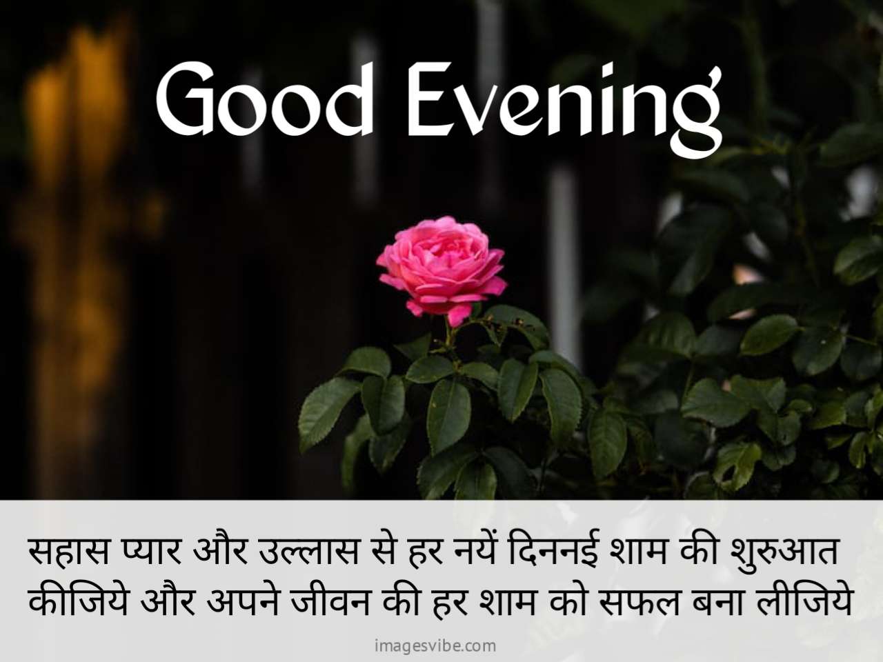 Beautiful Good Evening Hindi Images & Quotes in 2023 - Images Vibe