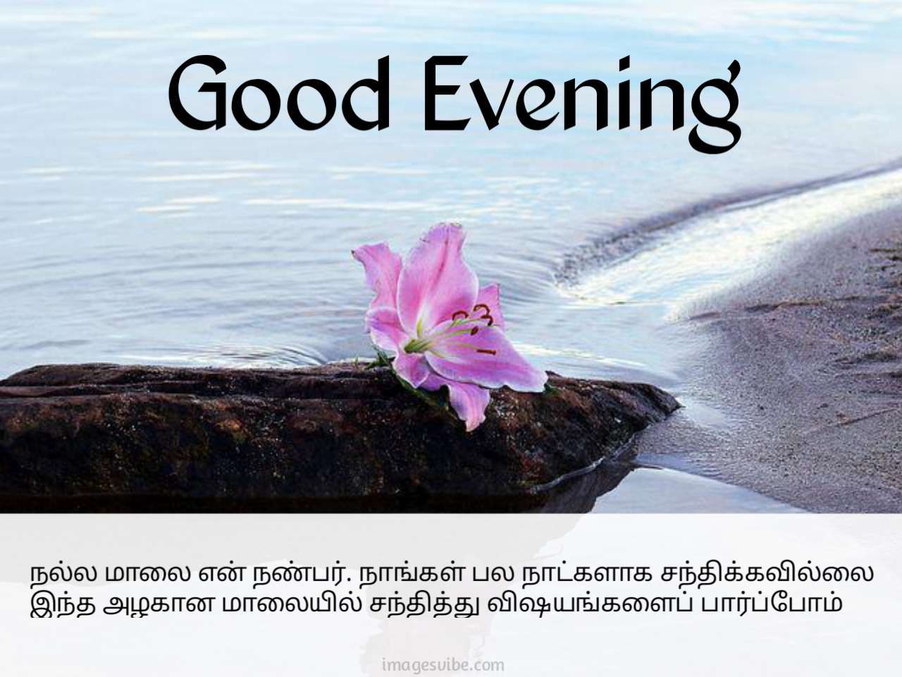 Good Evening Tamil Images