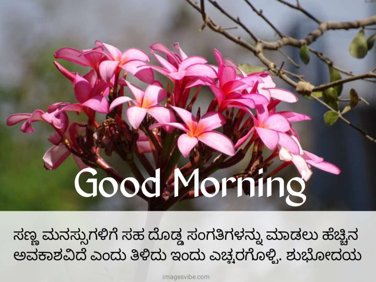 Beautiful Good Morning Kannada Images & Quotes in 2023 - Images Vibe