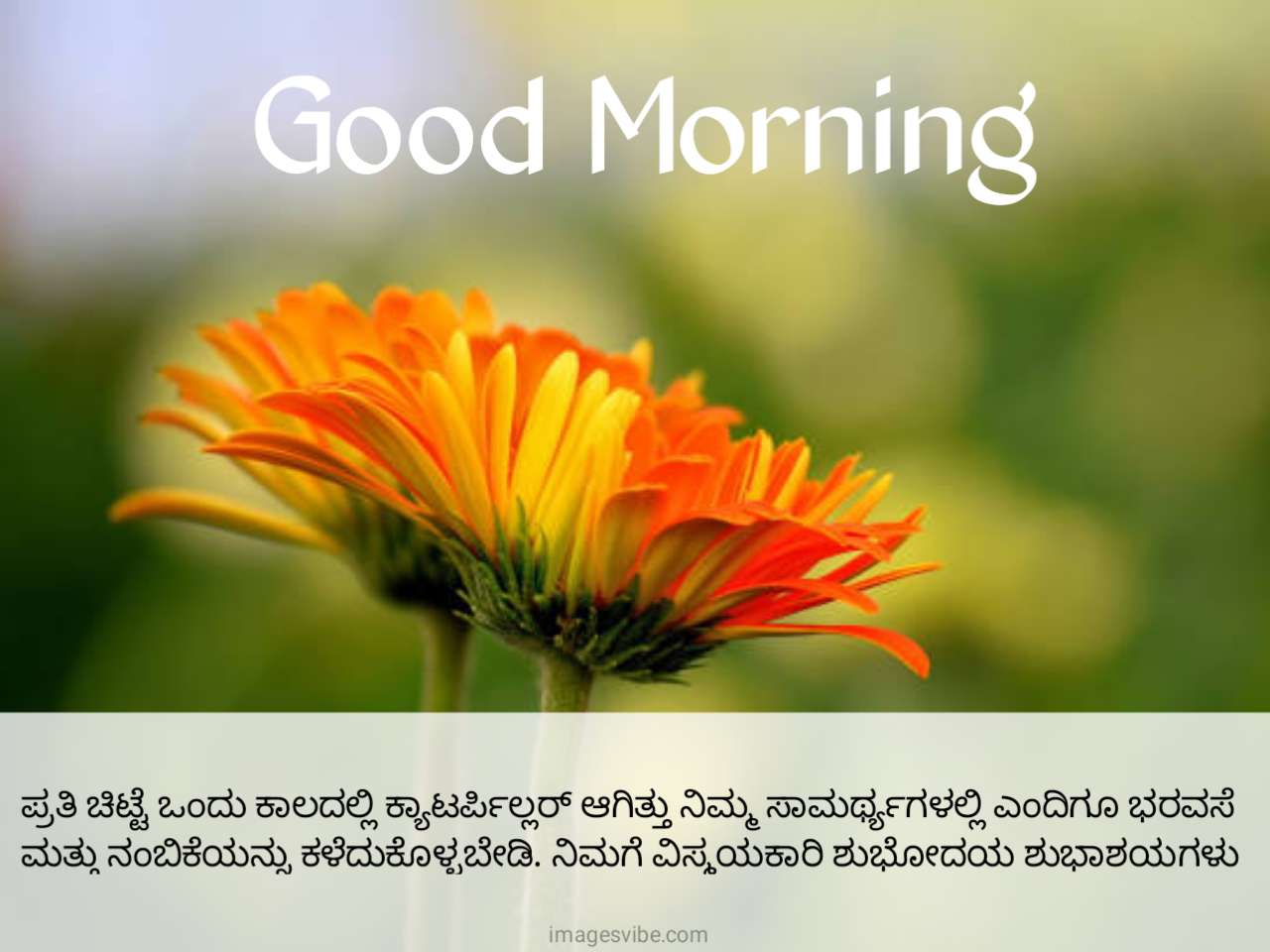 Beautiful Good Morning Kannada Images & Quotes in 2023 - Images Vibe