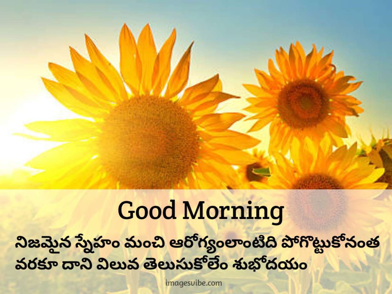 Beautiful Good Morning Telugu Images & Quotes in 2022 - Images Vibe