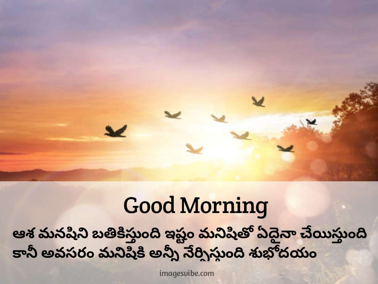 Extensive Collection of Over 999+ Stunning Good Morning Images in Telugu – Full 4K Resolution
