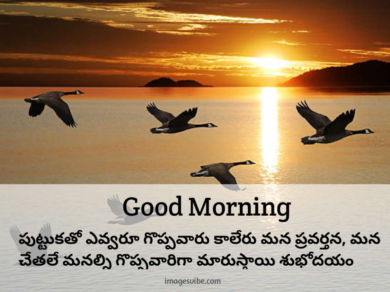 Beautiful Good Morning Telugu Images & Quotes in 2022 - Images Vibe