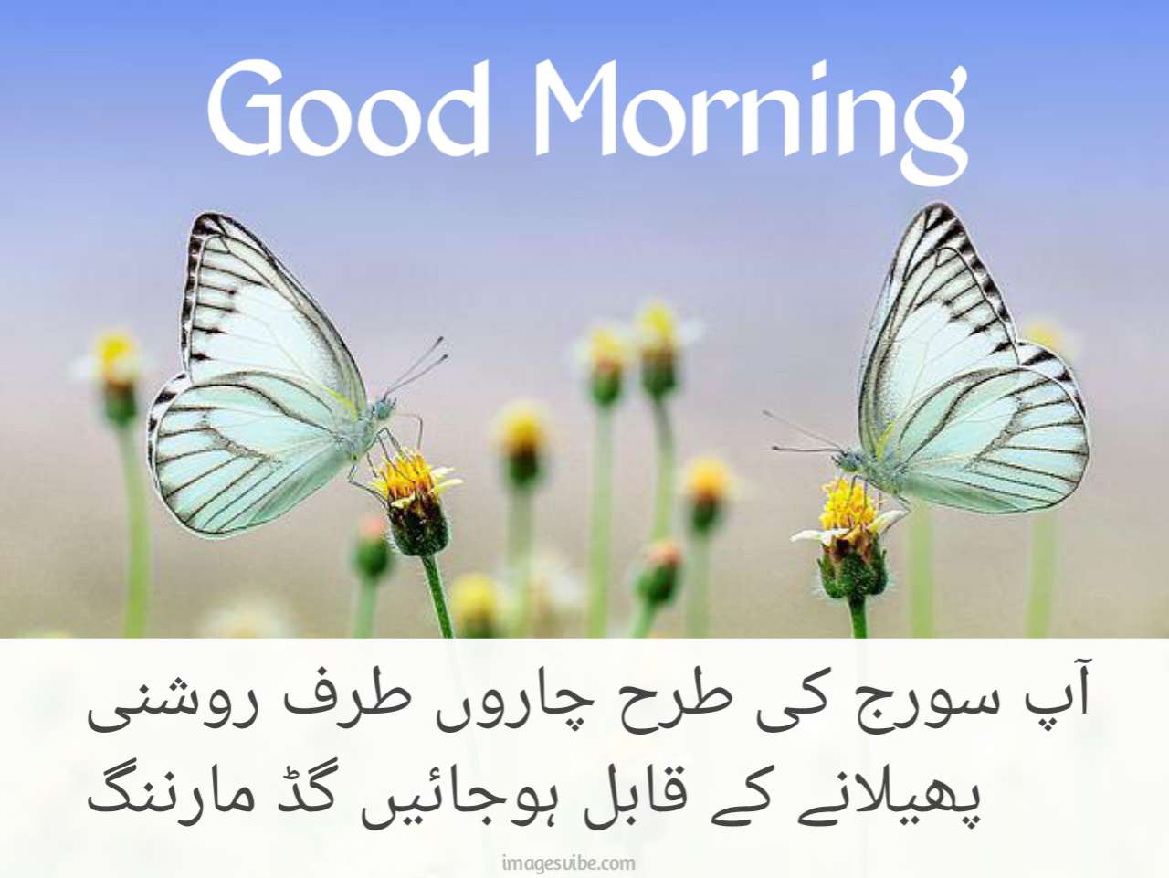Good Morning Urdu Images