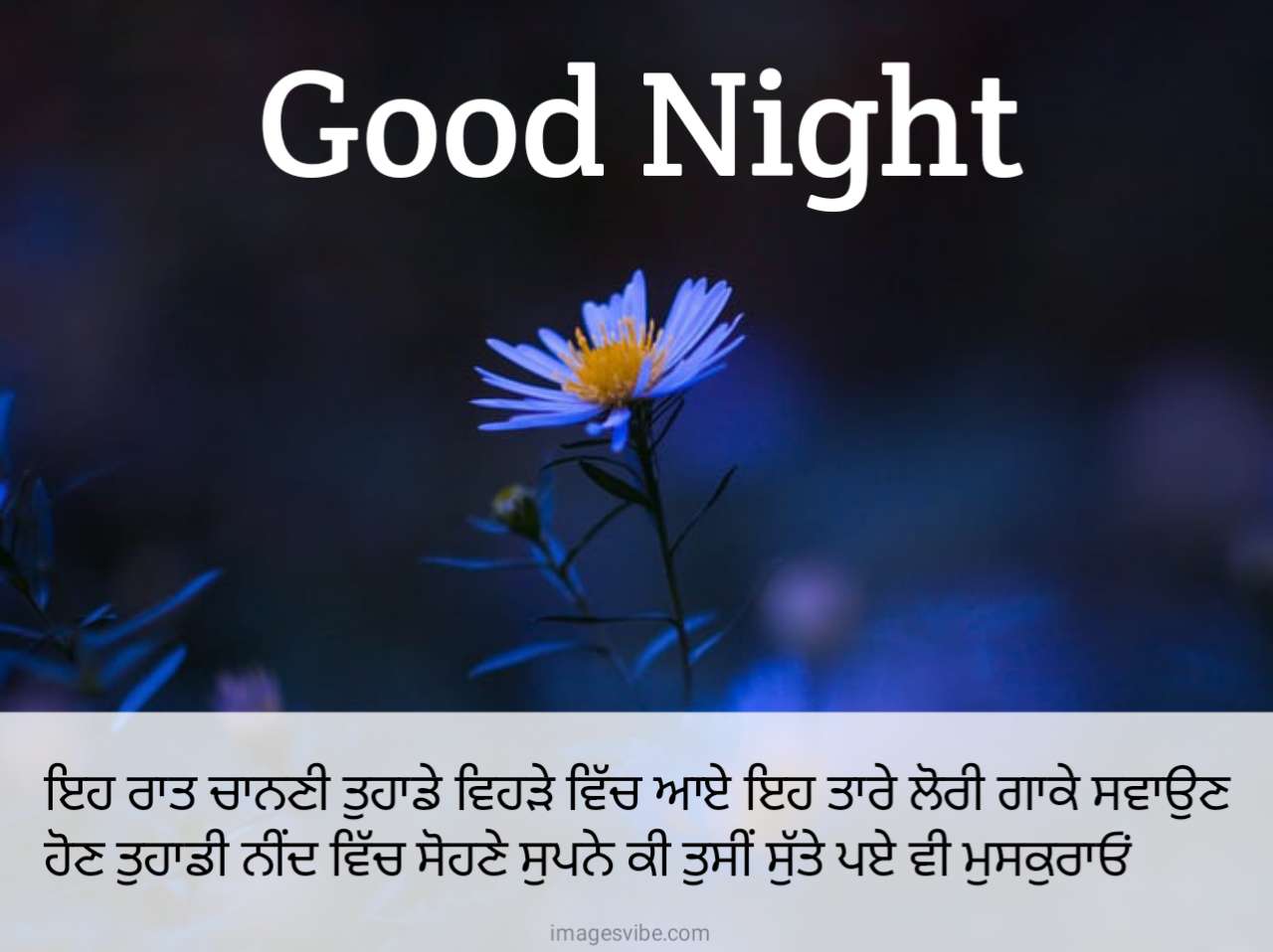 Good Night Punjabi Images