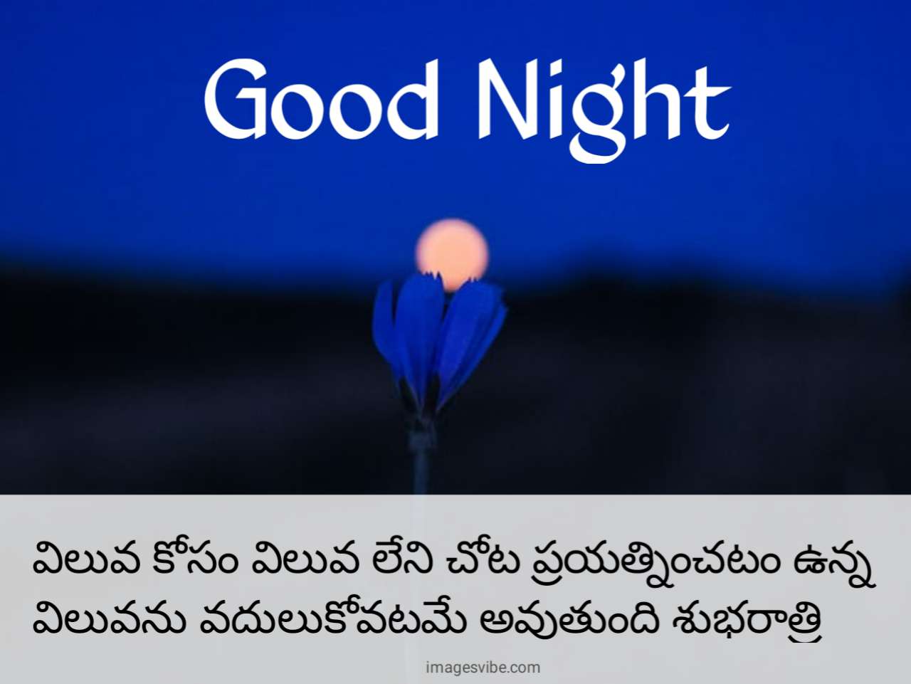 Beautiful Good Night Telugu Images & Quotes in 2023 - Images Vibe