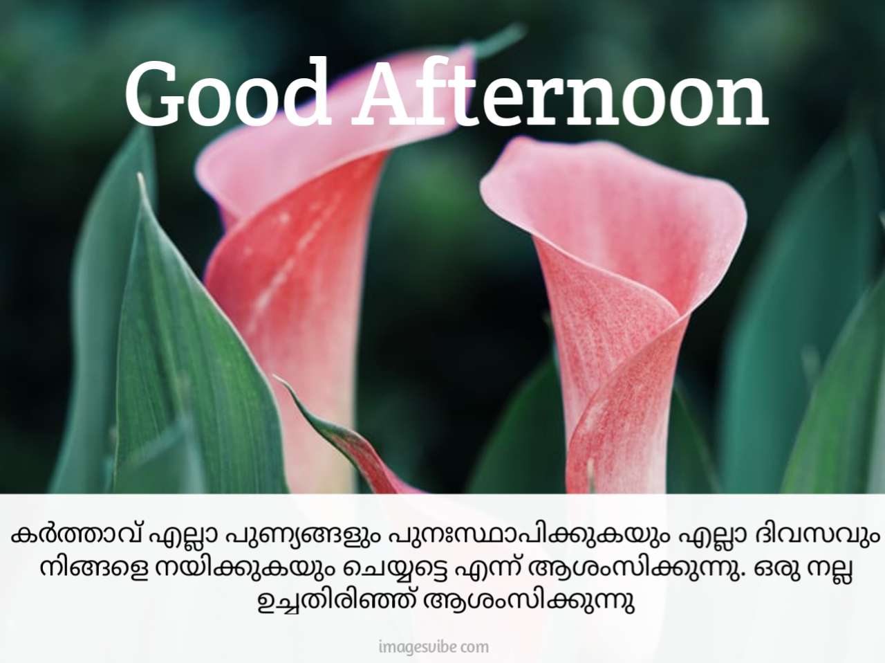 Good Afternoon Malayalam Images