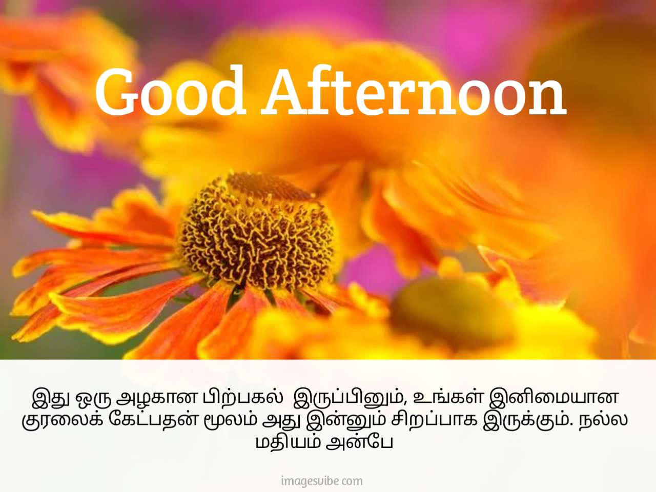 Good Afternoon Tamil Images