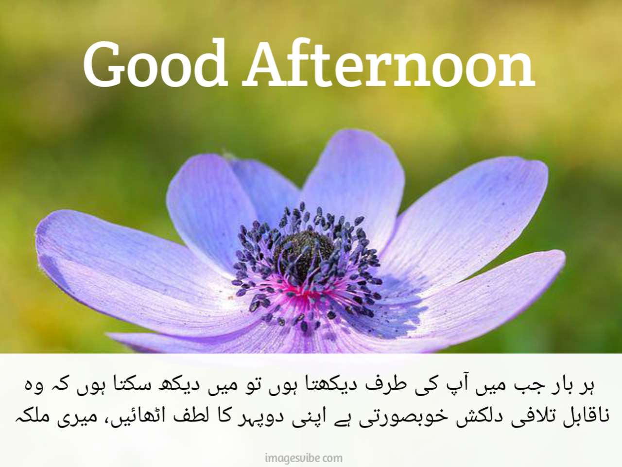 Good Afternoon Urdu Images