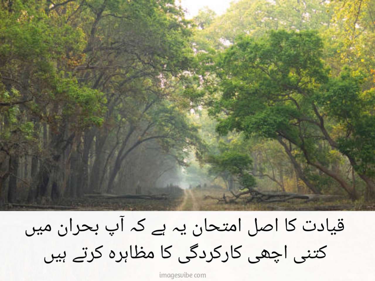 Motivational Urdu Images With Quotes30 
