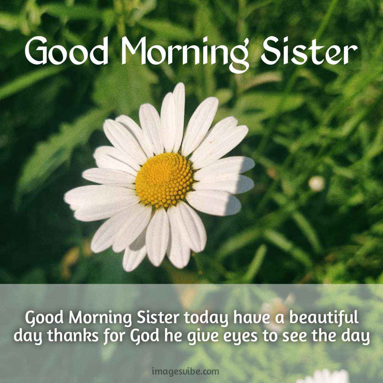Good Morning Sister Images With Quotes