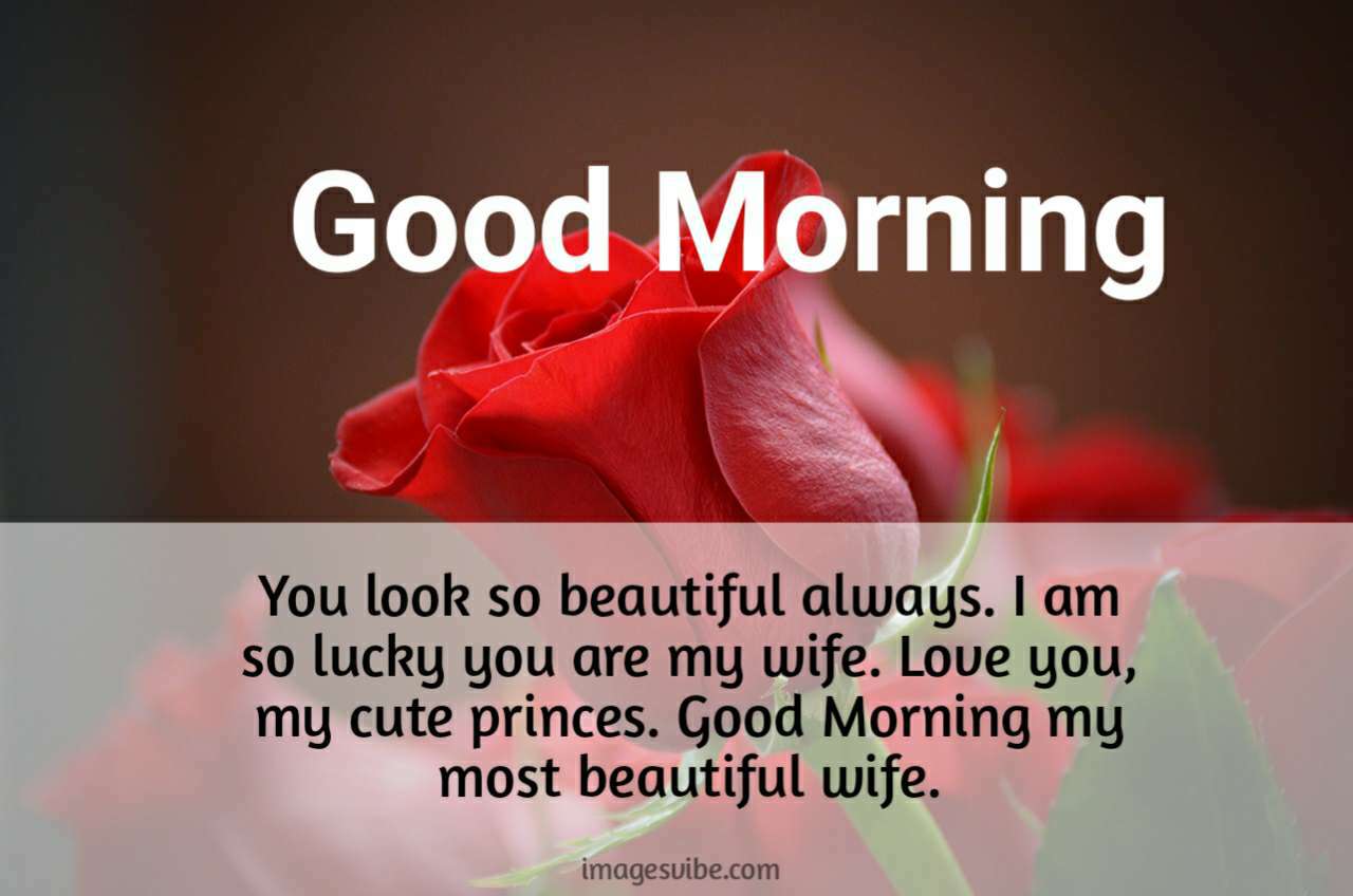 Best 30+ Good Morning Wife Images And Quotes & Beautiful - Images Vibe