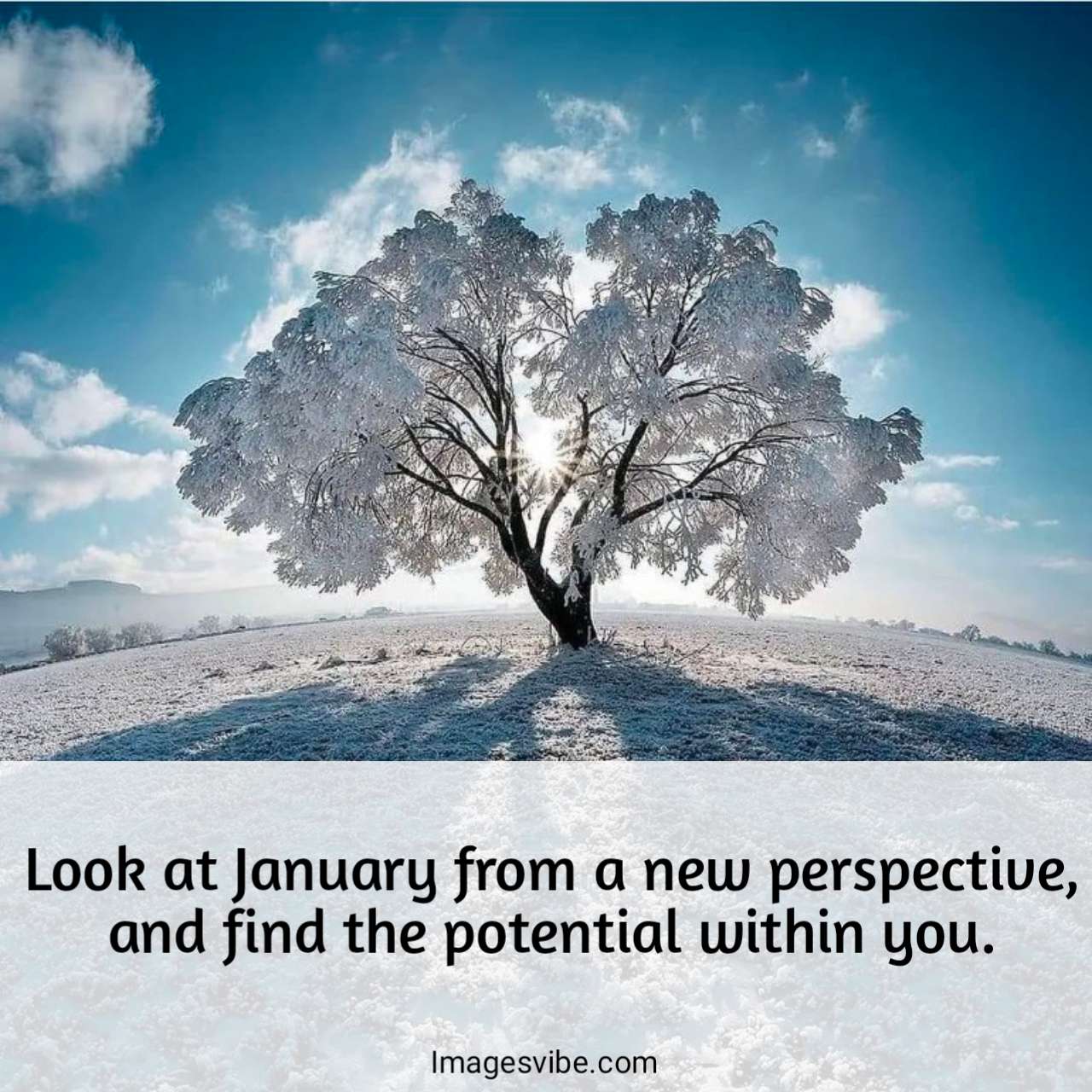 Best 30+ January Quotes With Images in 2024 Images Vibe