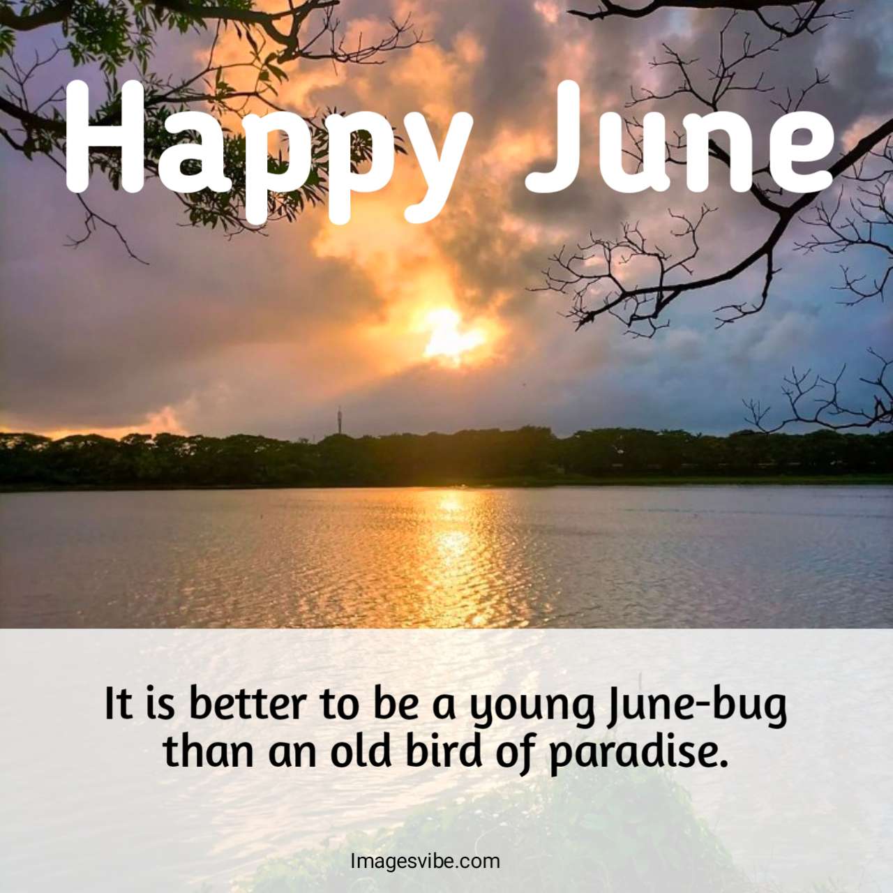 Best 30+ Happy June Quotes With Images & Messages in 2024 Images Vibe