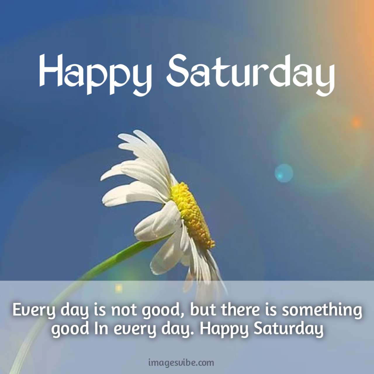 Best 30+ Saturday Quotes With Images & Messages in 2023 - Images Vibe