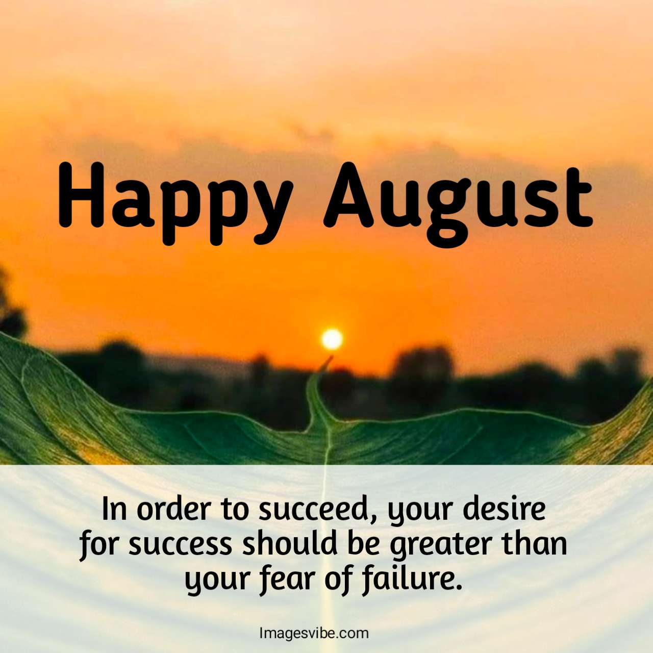 august quotes