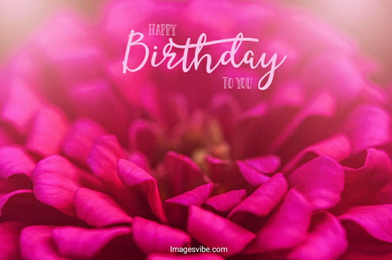 Best 30+Birthday Flower Images Download in 2024 - Images Vibe