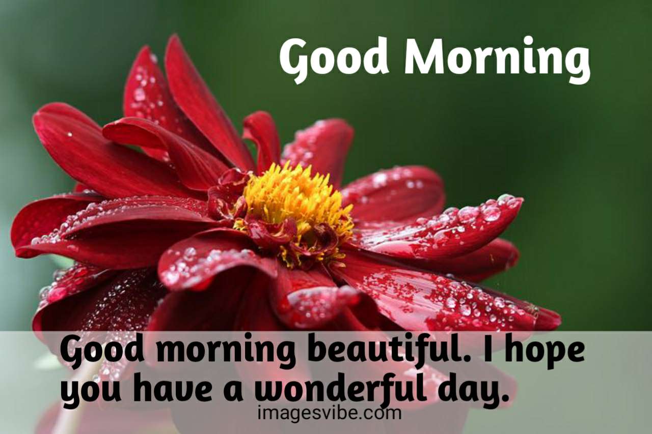 Best 30+Good Morning Wishes Images Download in 2023 - Images Vibe