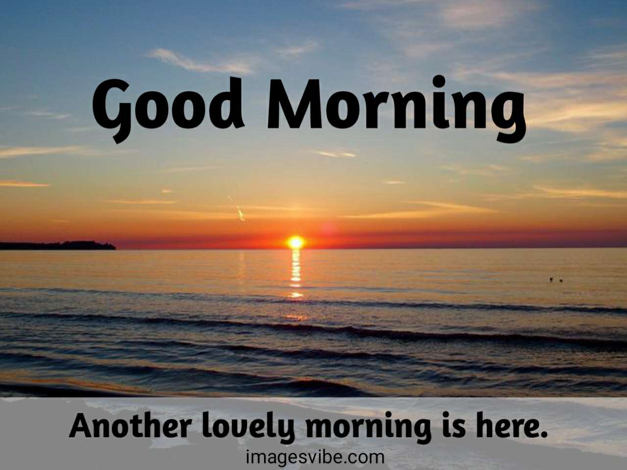 Best 30+Good Morning Wishes Images Download in 2024 - Images Vibe