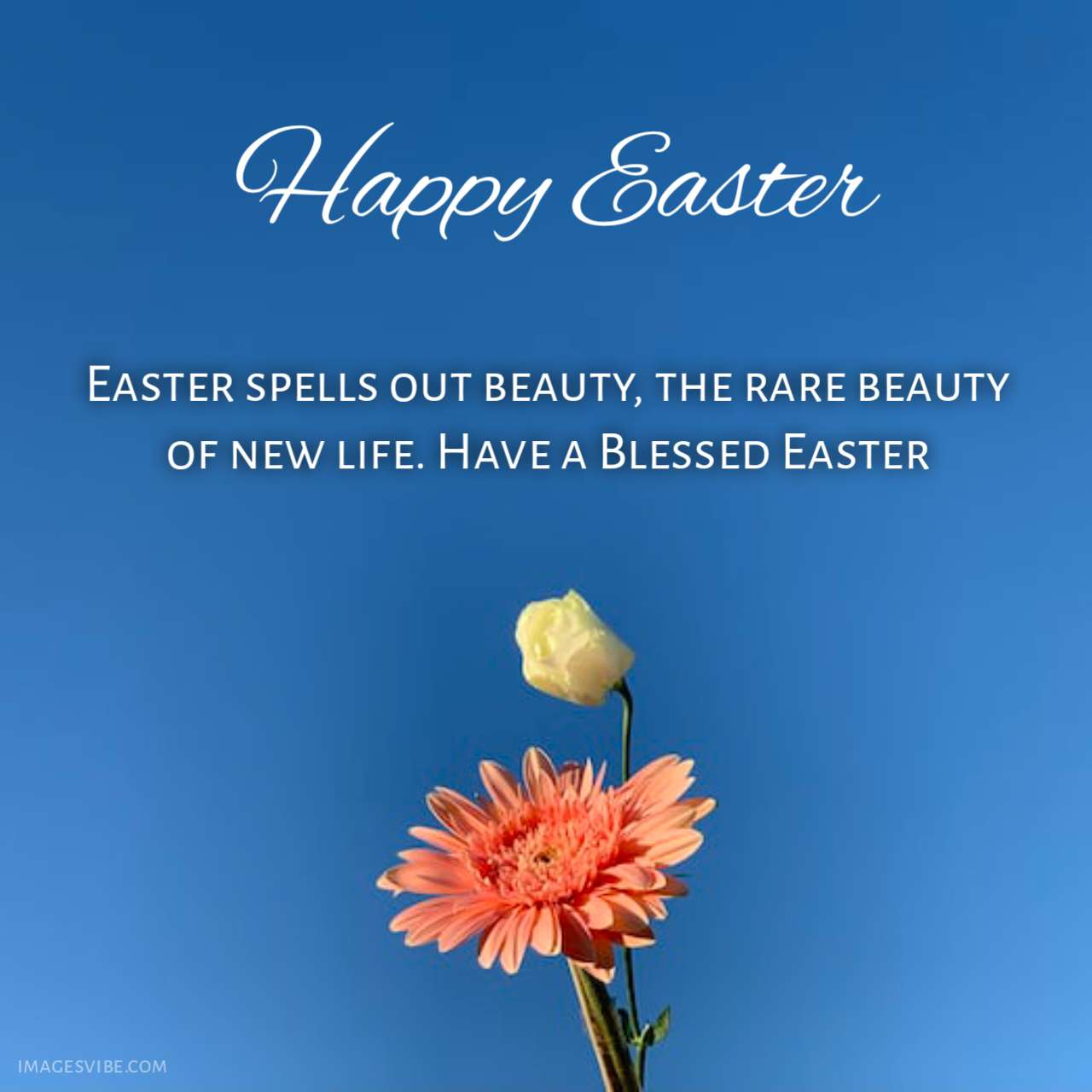 Best 30+ Easter Blessings Images & Quotes In 2024 Images Vibe