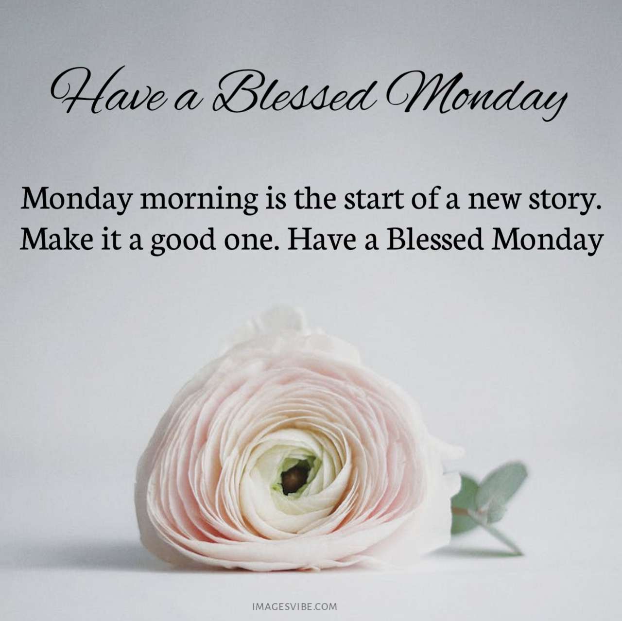 Best 30+ Monday Blessings Images & Quotes In 2023 - Images Vibe