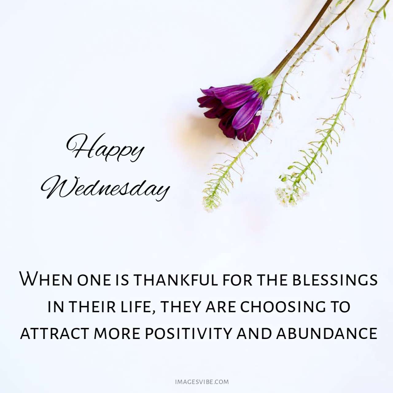 Best 30+ Wednesday Blessings Images & Quotes In 2024 Images Vibe