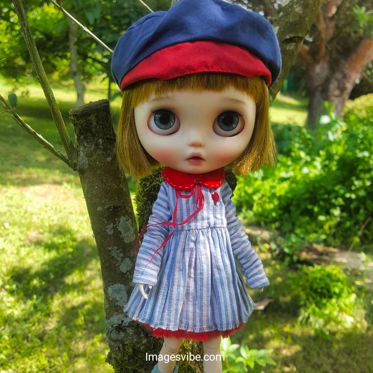 Best 30+ Cute Dolls Images for Whatsapp HD Download In 2023 ...