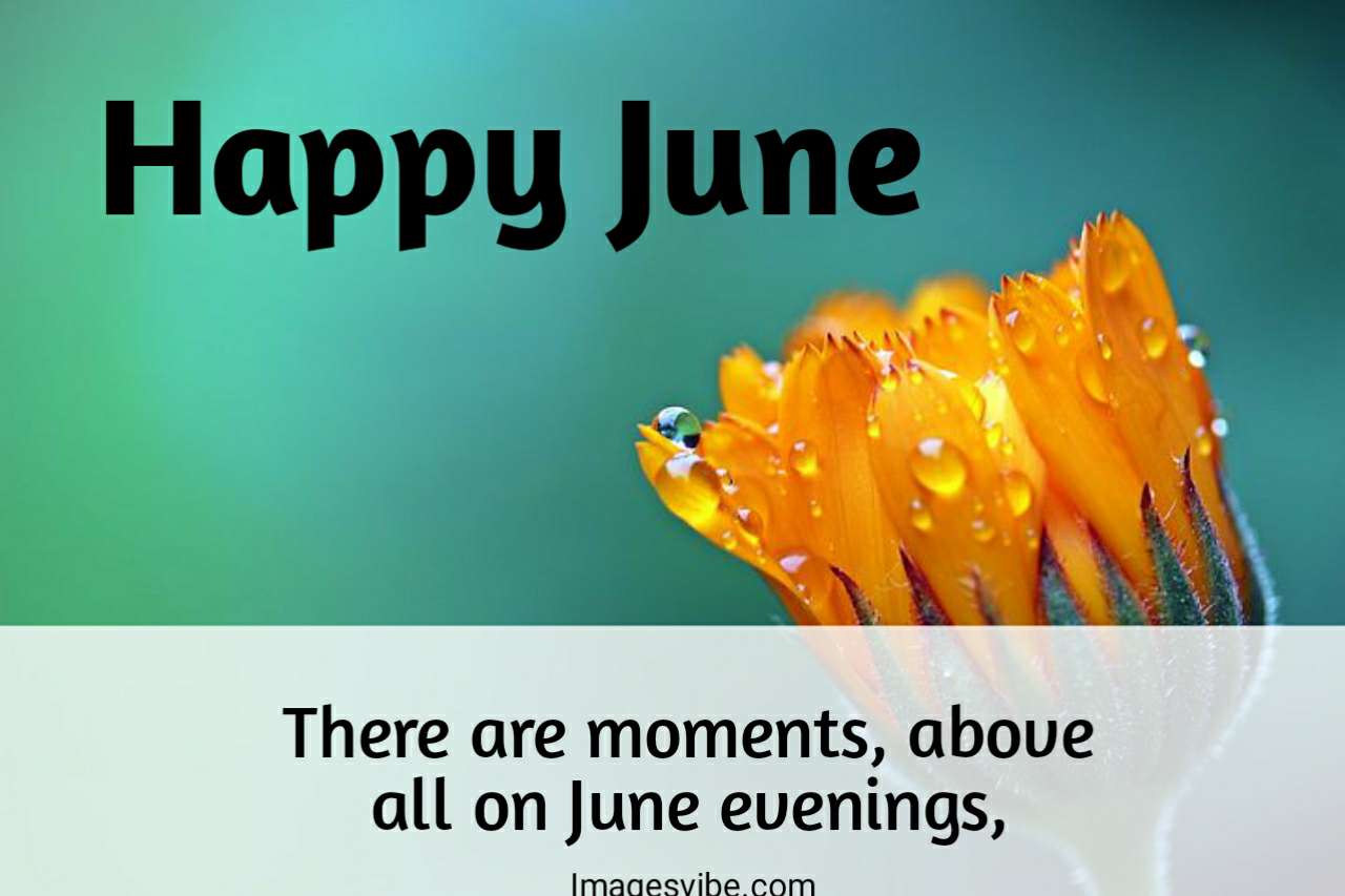 Best 30+ June Blessing Images Download in 2024 Images Vibe