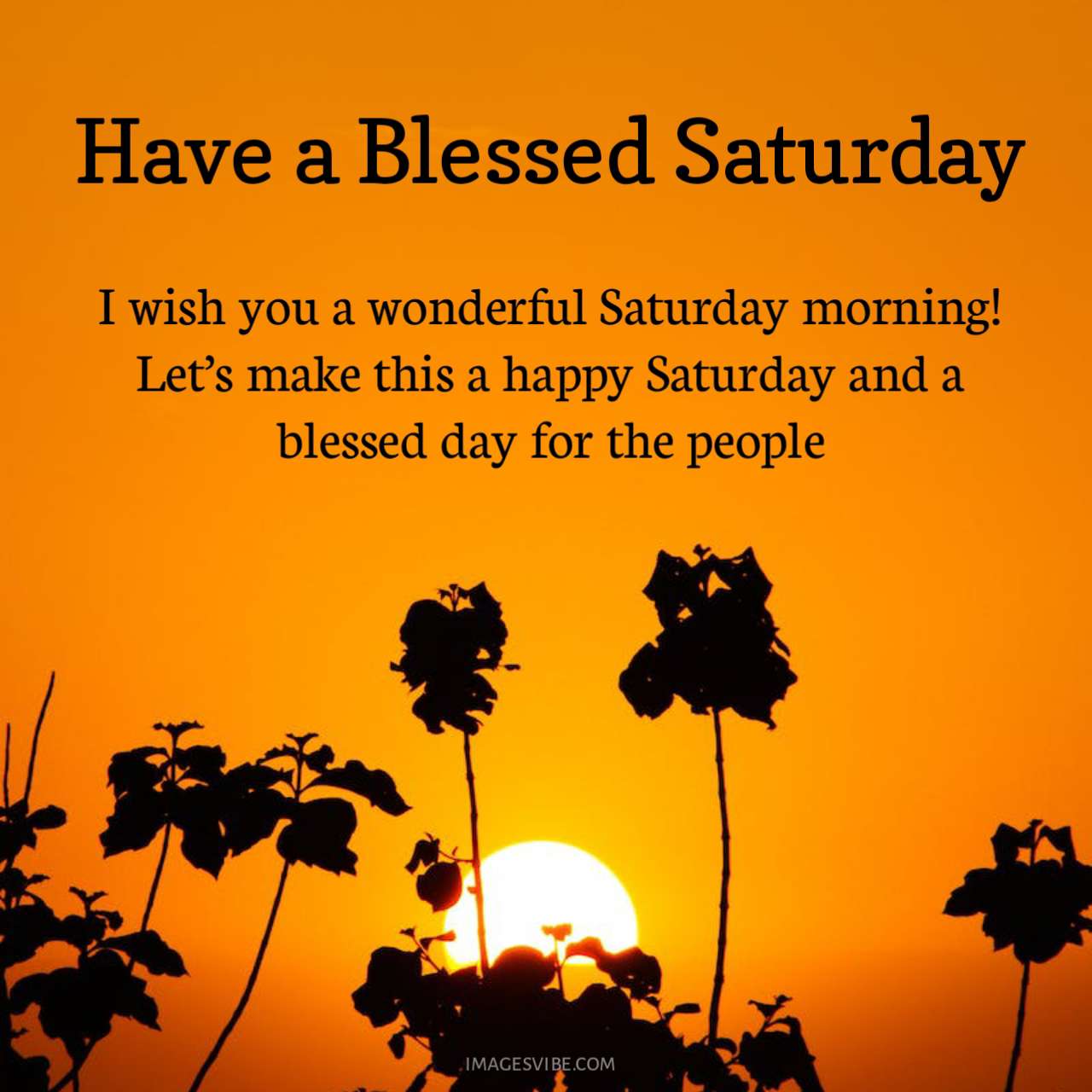 Best 30+ Saturday Blessings Images & Quotes in 2023 - Images Vibe