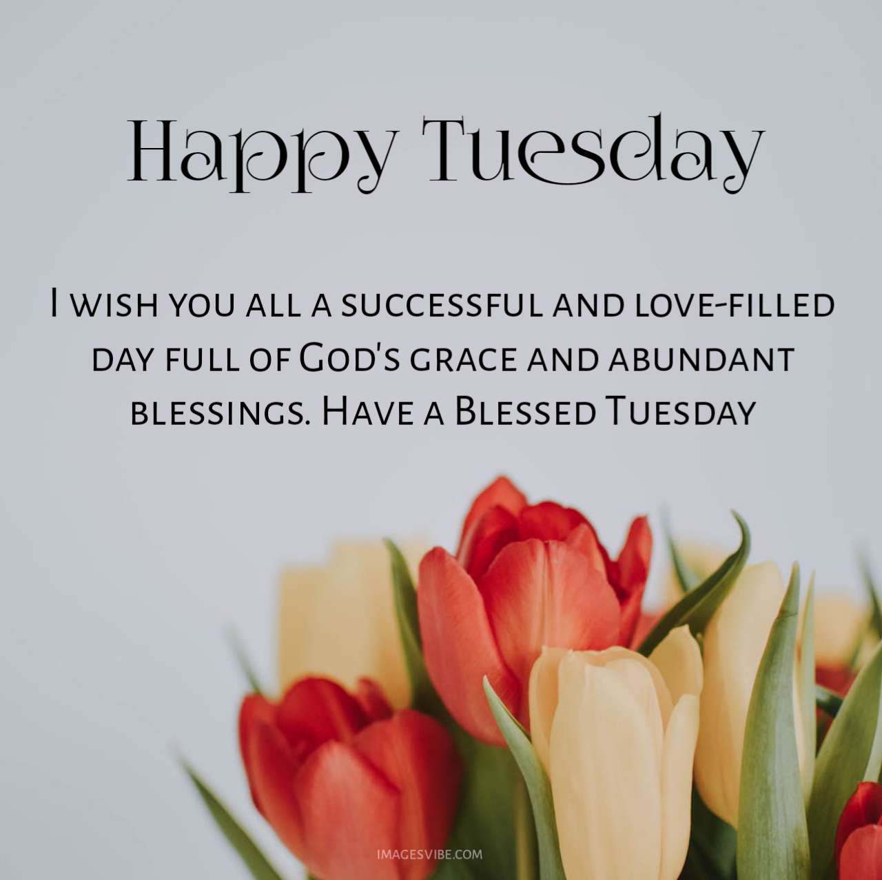 Best 30+ Tuesday Blessings Images & Quotes in 2024 - Images Vibe