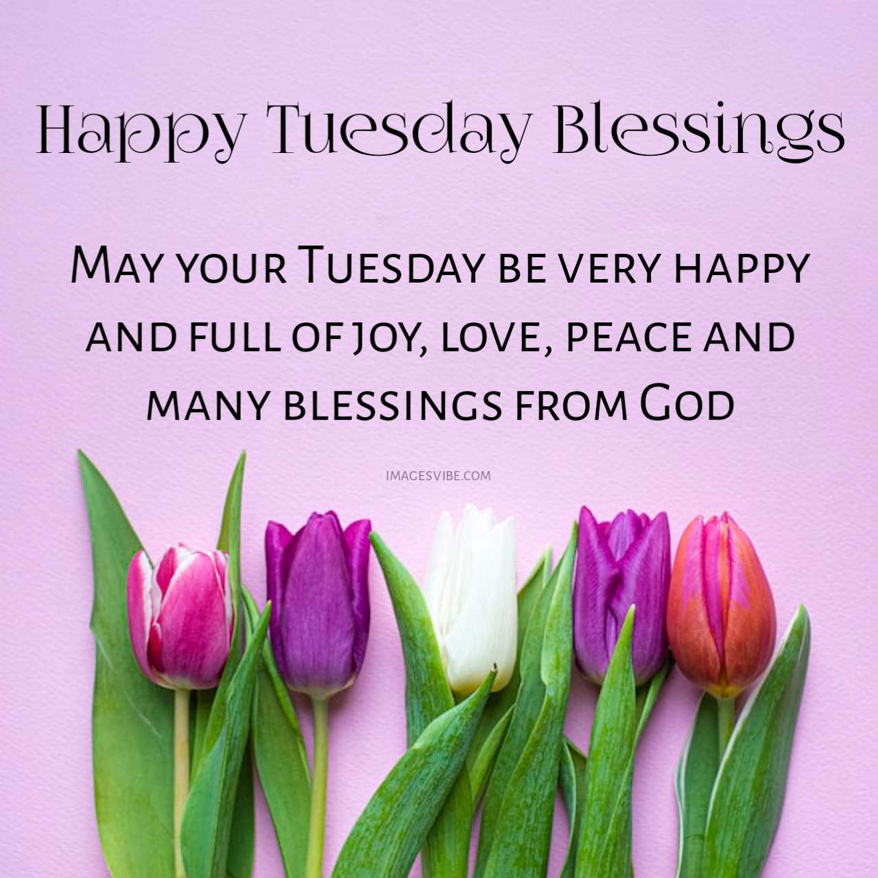 blessed tuesday morning