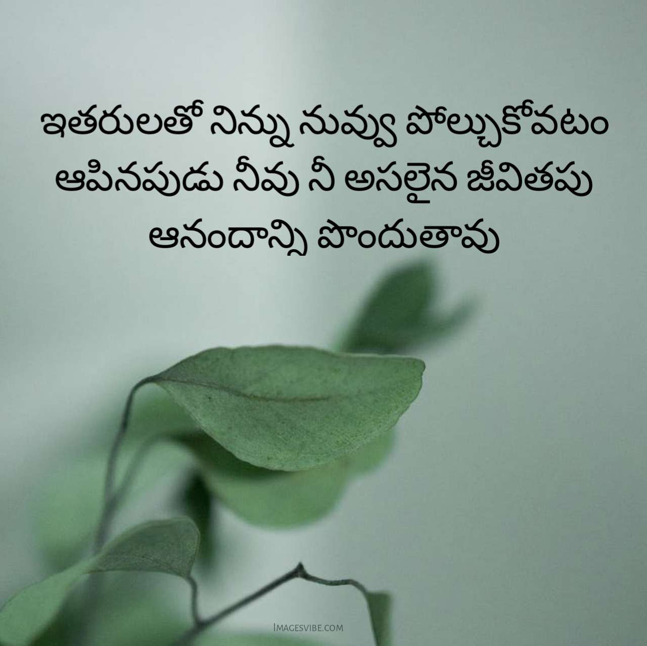 Heart Touching Life Quotes In Telugu