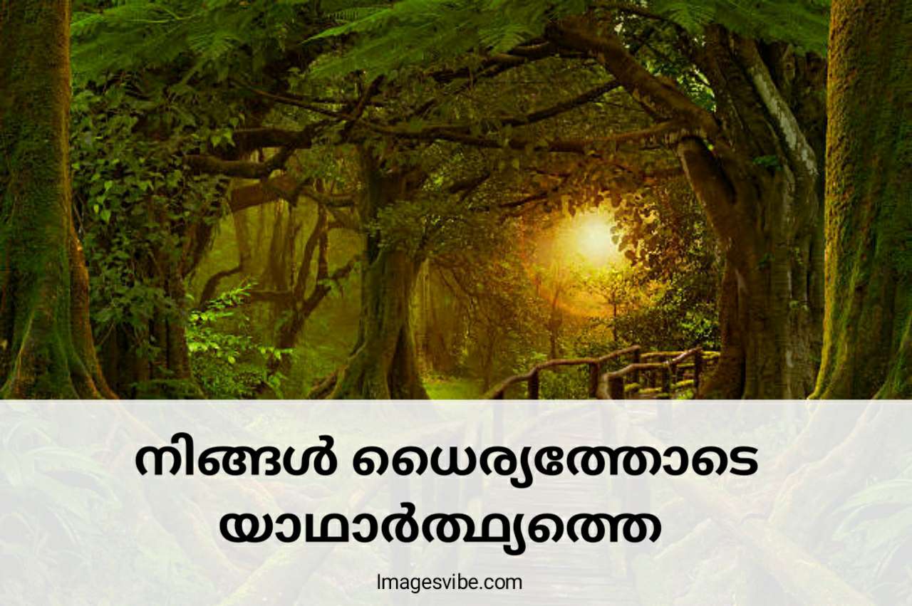 Jeevitham Quotes In Malayalam