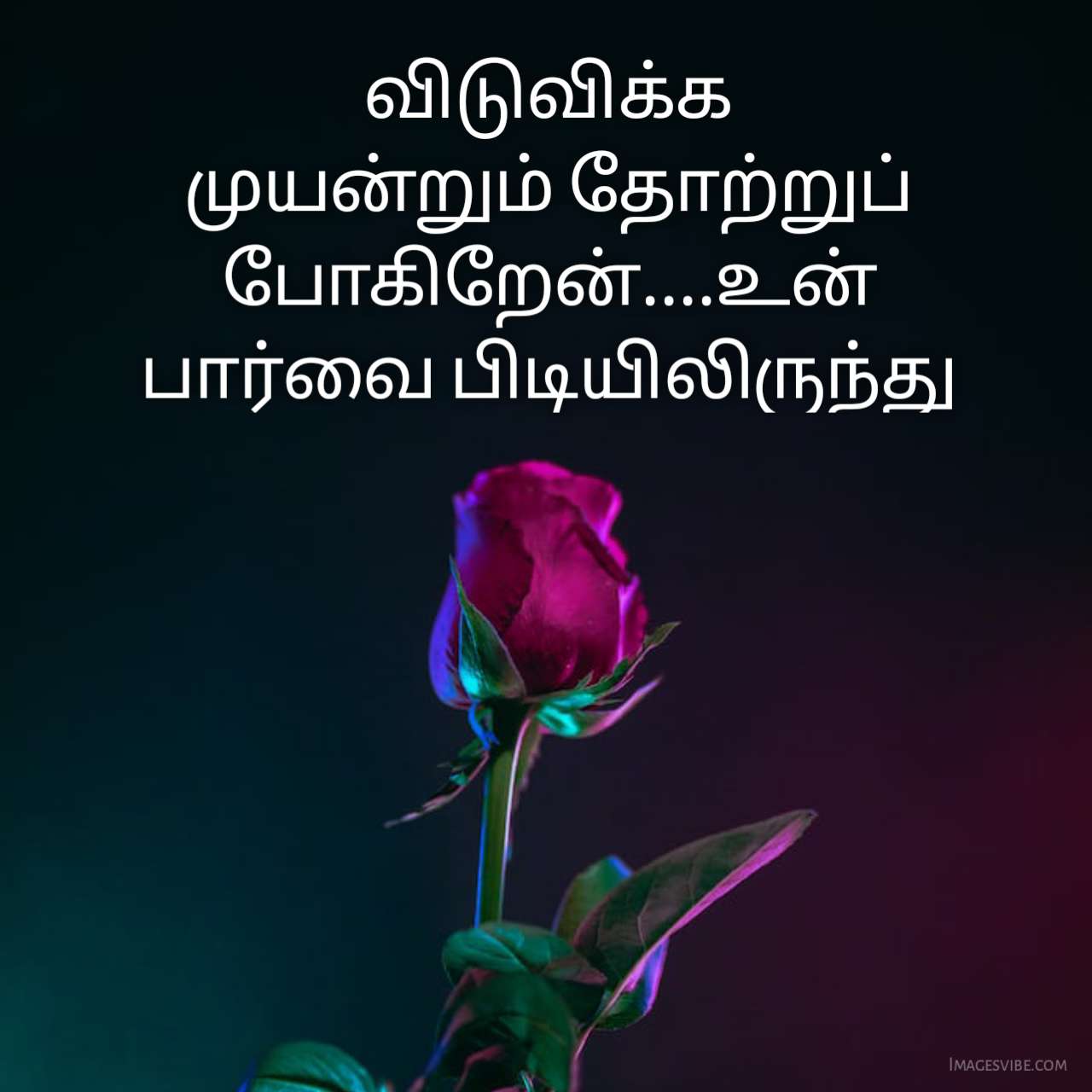 Love Quotes In Tamil6 