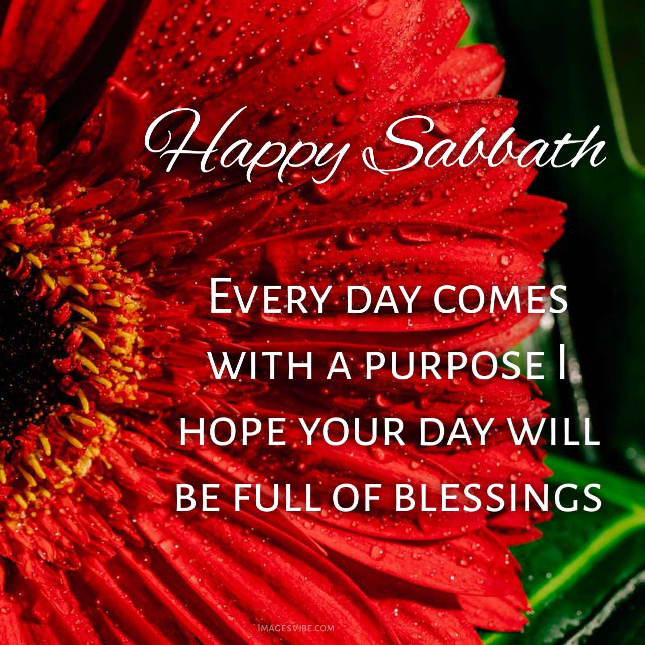 Best 20+ Happy Sabbath Images & Wishes in 2024 Images Vibe