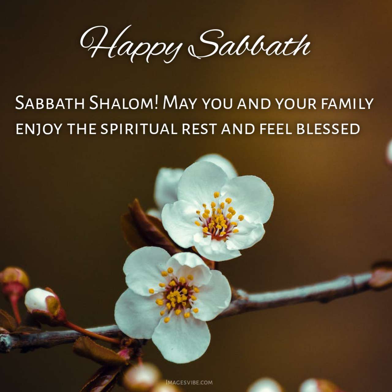 Happy Sabbath Images